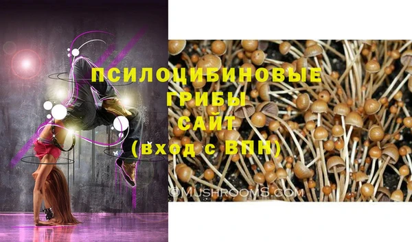 герыч Верхний Тагил