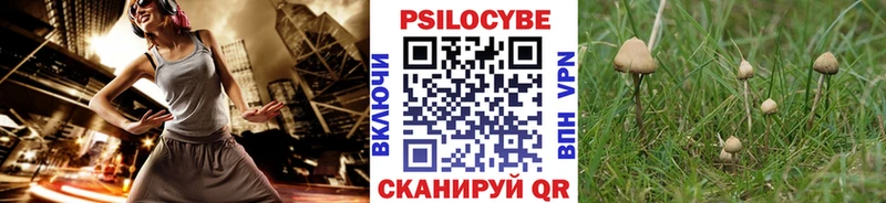 цены наркотик Переславль-Залесский Псилоцибиновые грибы мухоморы